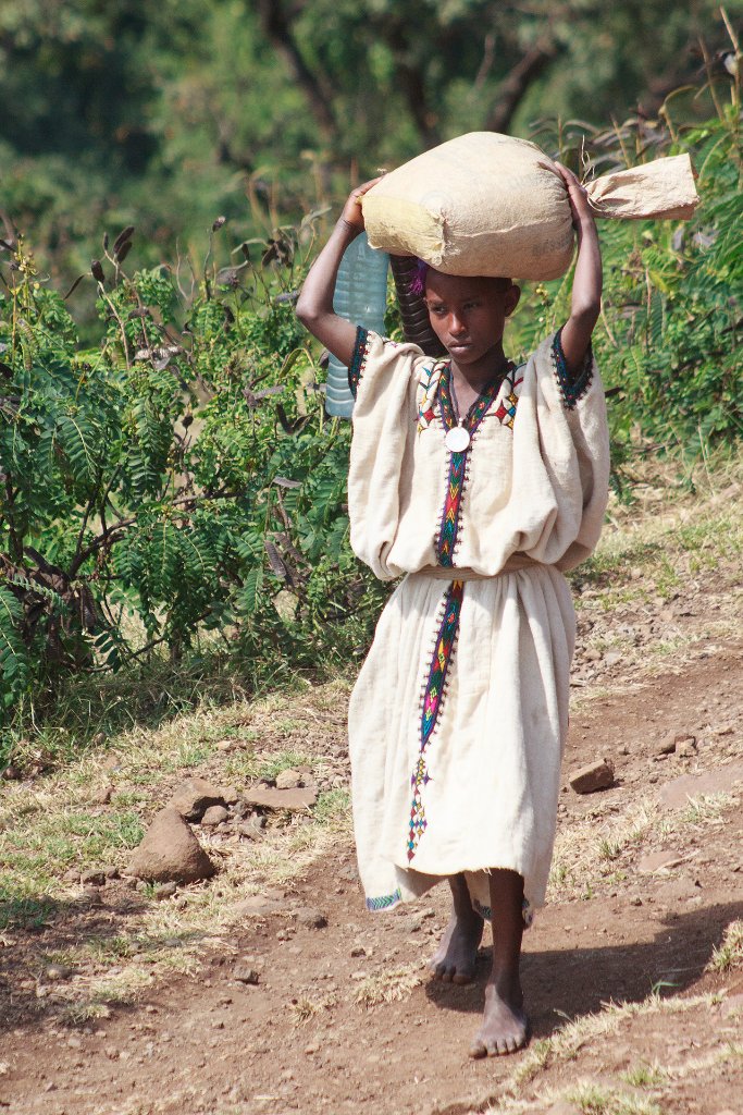 34-On their way to the market.jpg - On their way to the market